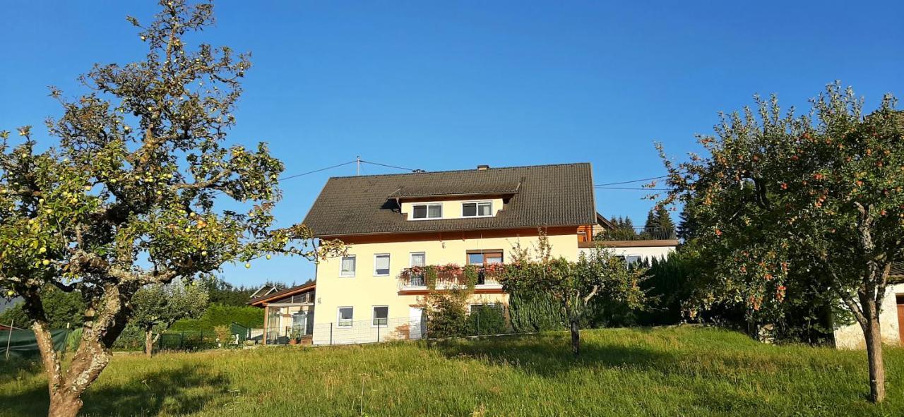 Haus Elvira Apartment Sankt Stefan an der Gail Exterior photo